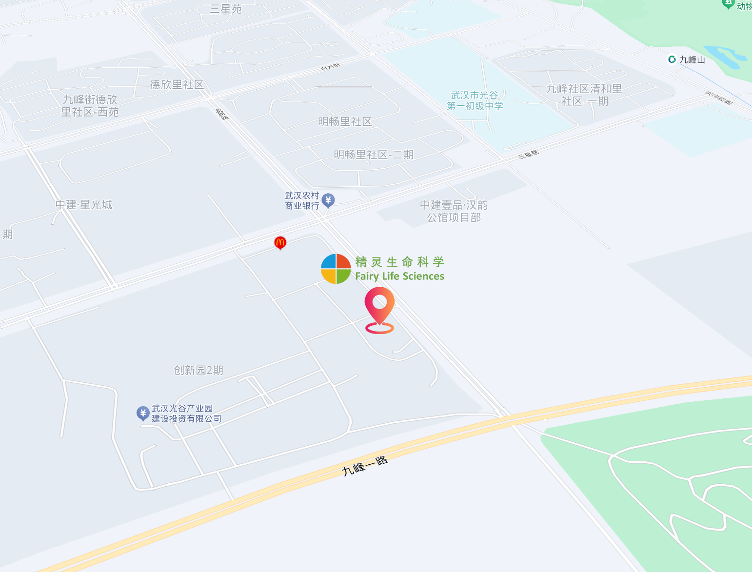 武汉地图